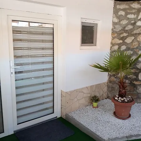 Daire Magnolia Eğri